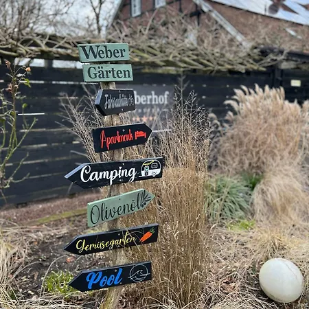 Im Schönen #6 *