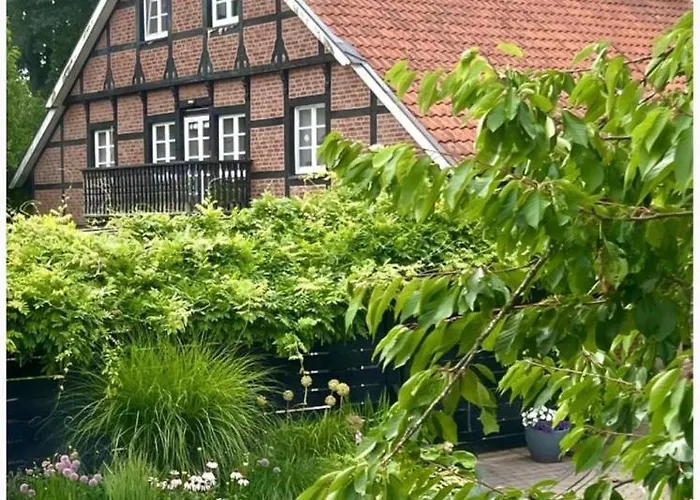 Im Schönen #6 * Münster